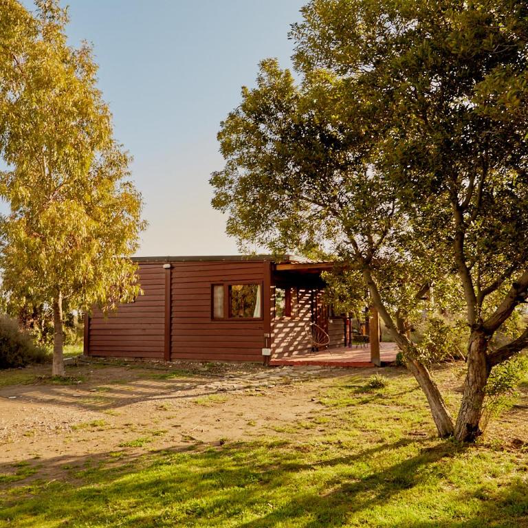 Cabaña Viedma - Casa con 1 dormitorio - 10