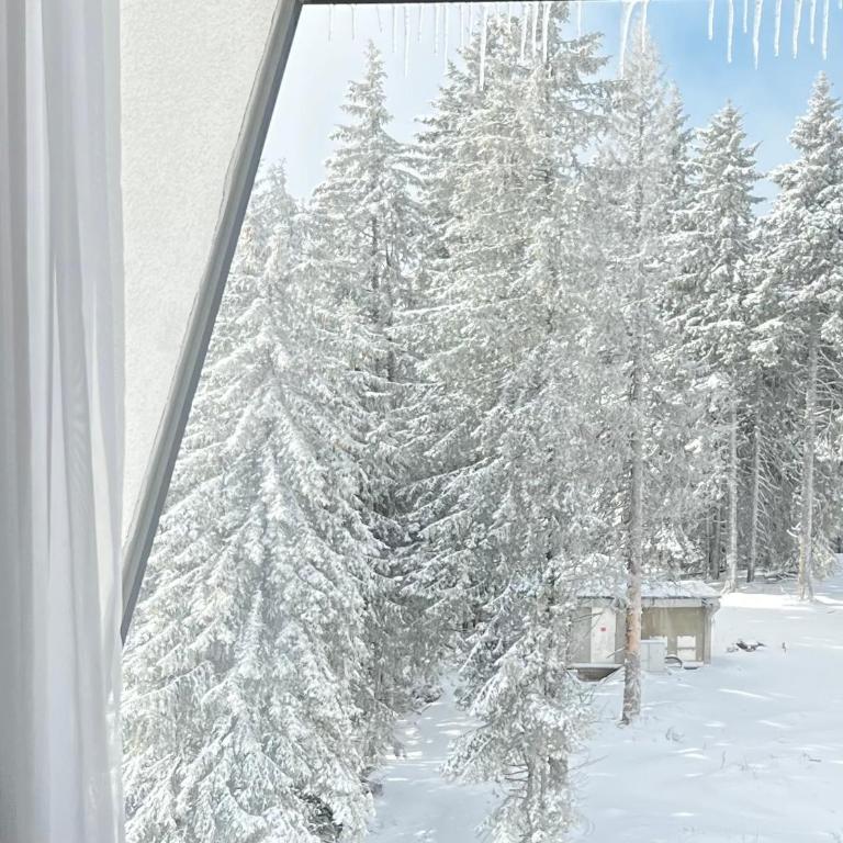 Mountain stars Kopaonik - One-Bedroom Apartment - 19