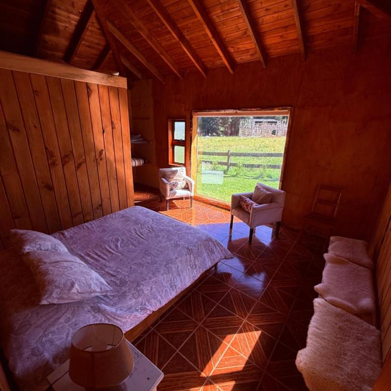 Trébol - Two-Bedroom Apartment - 4