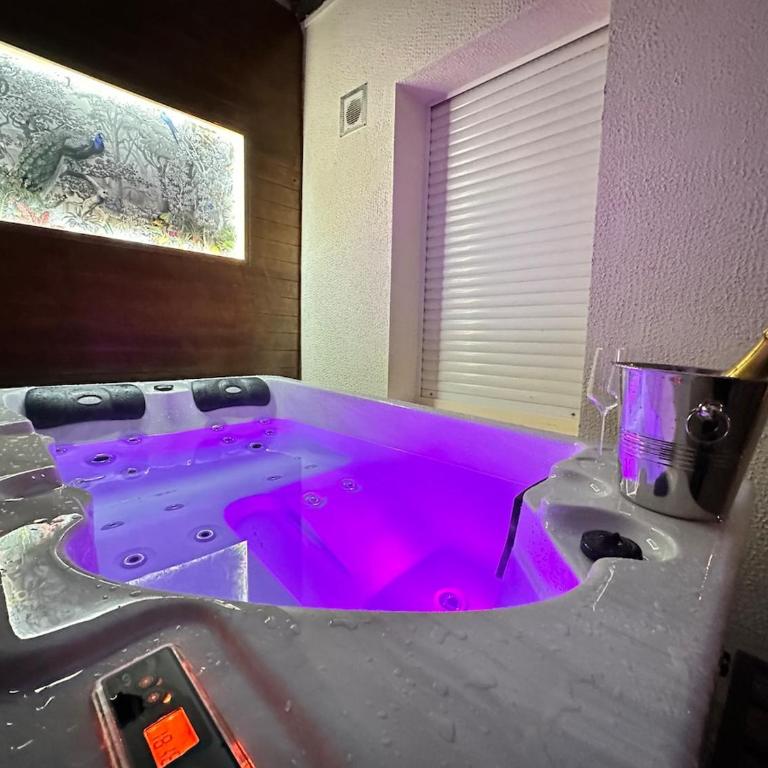 Gatsby appartement confortable jacuzzi & terrasse - Apartamento de 1 dormitorio - 6
