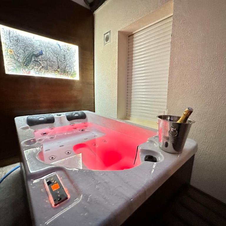 Gatsby appartement confortable jacuzzi & terrasse - Apartamento de 1 dormitorio - 9