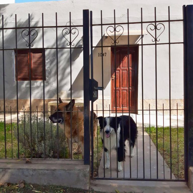 Ave del Paraíso - Casa de 2 dormitorios - 3