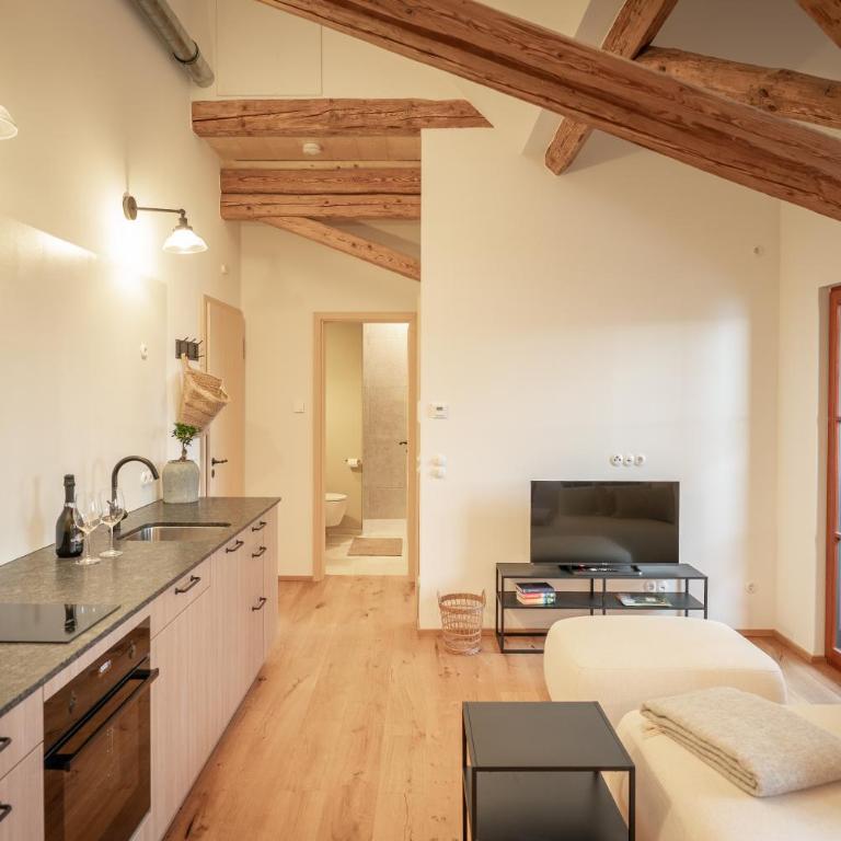 tobel 1853 apartments - Apartment mit 1 Schlafzimmer und Balkon - 5