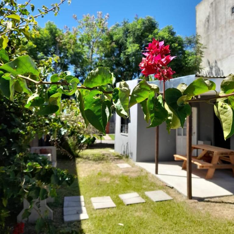 Ave del Paraíso - Casa de 2 dormitorios - 21