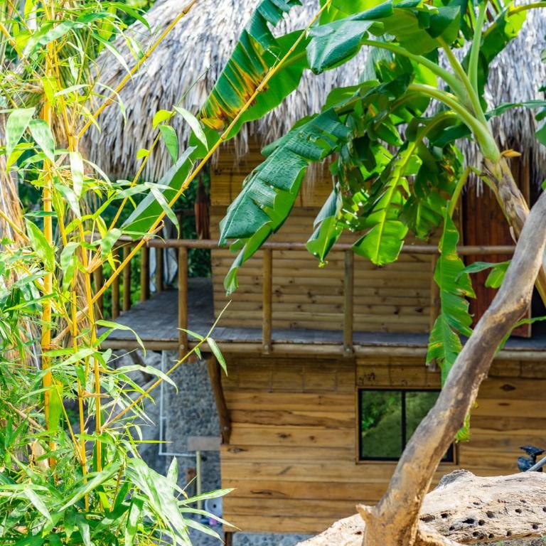 Jardin Secreto Tayrona - Bed in 4-Bed Mixed Dormitory Room - 7