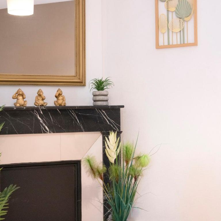Hôtel des cousines - Anais Appartement 4 personnes Nancy - Appartement - 11