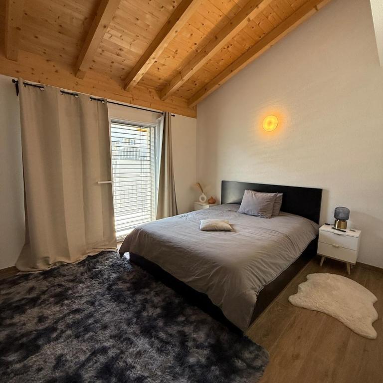 Appartement Vue Montagne Vignoble Cosy Valais - Apartment mit 1 Schlafzimmer - 7