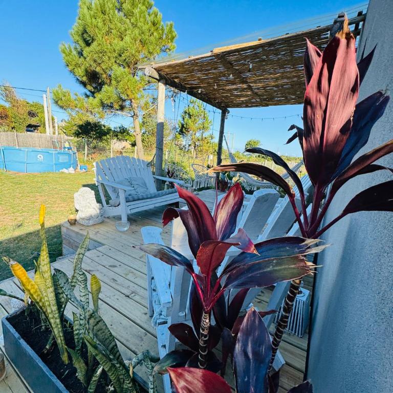 La casita del elefante - One-Bedroom House - 27