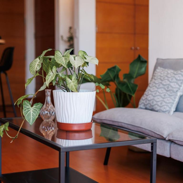 Las Condes Skyline View of Cerro Manquehue - One-Bedroom Apartment - 29