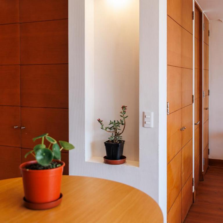 Las Condes Skyline View of Cerro Manquehue - One-Bedroom Apartment - 21