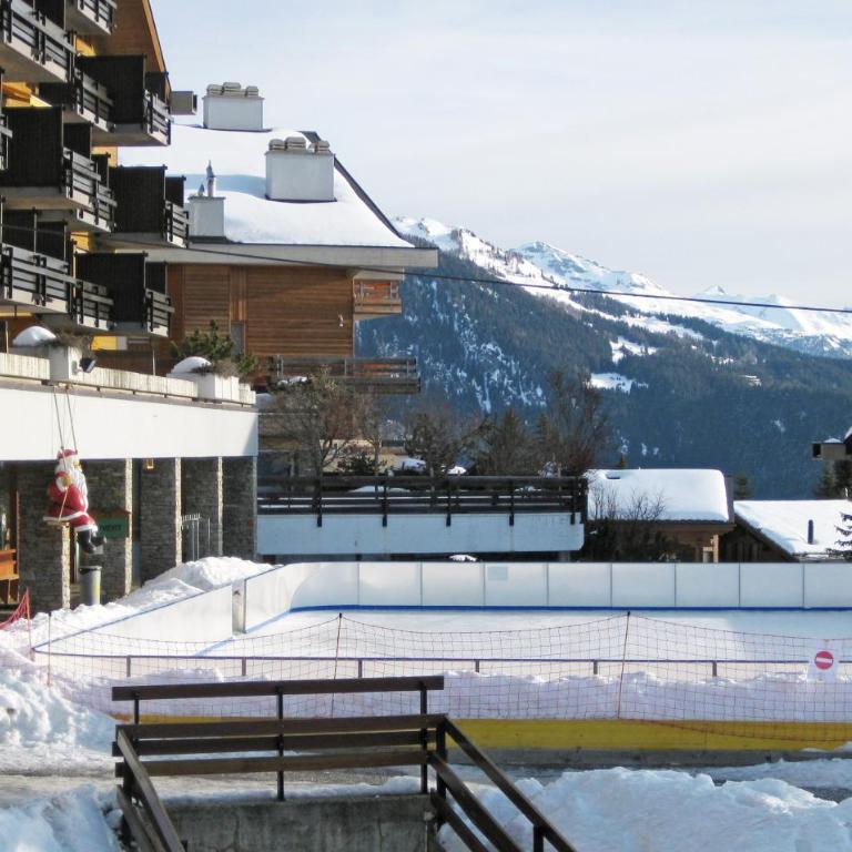 Ski-in Apartment in Anzere - Studio-Apartment - 13