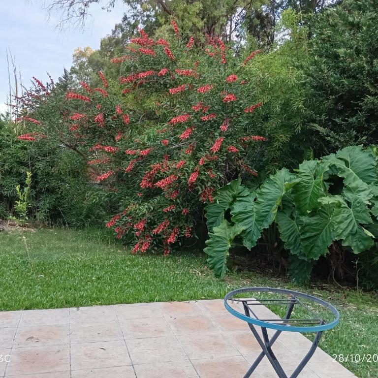 cabaña los cardenales a 5' termas del guaychu - Casa con 1 dormitorio - 2