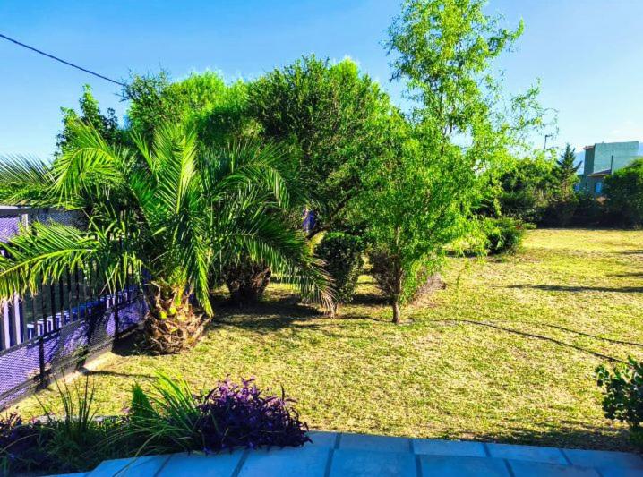 Flor silvestre - Casa de 3 dormitorios - 6
