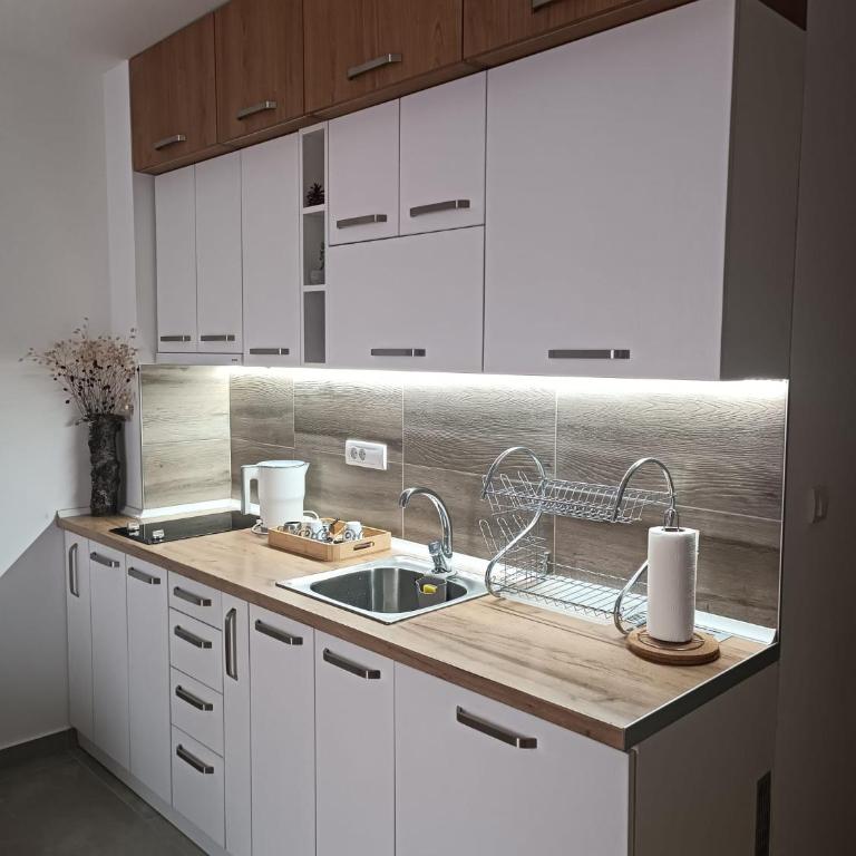 Divci Nova1- A8 - Apartman sa 1 Spavaćom Sobom - 4