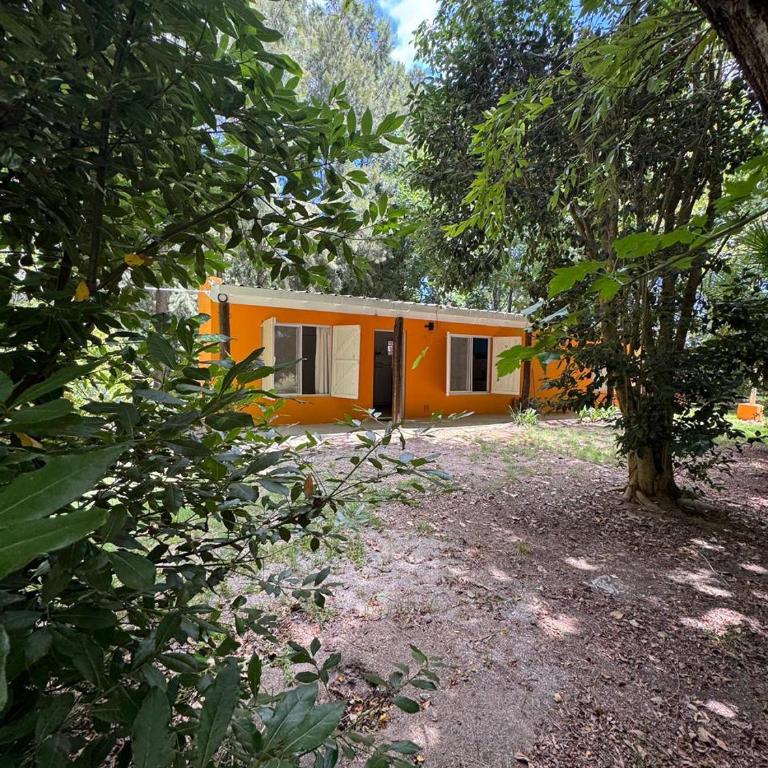 La rosadita - Casa de 2 dormitorios - 10