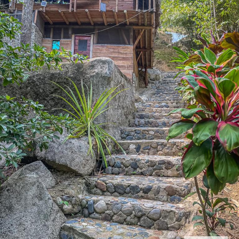 Jardin Secreto Tayrona - Double Room with Private Bathroom - 2