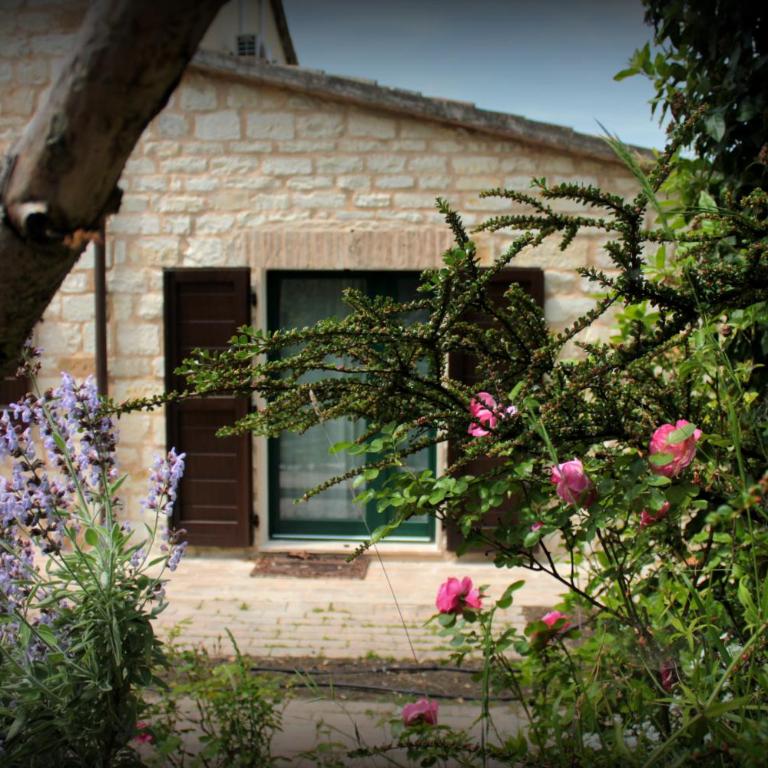 B&B Campo del Mare - Camera Matrimoniale con Bagno Privato - 7