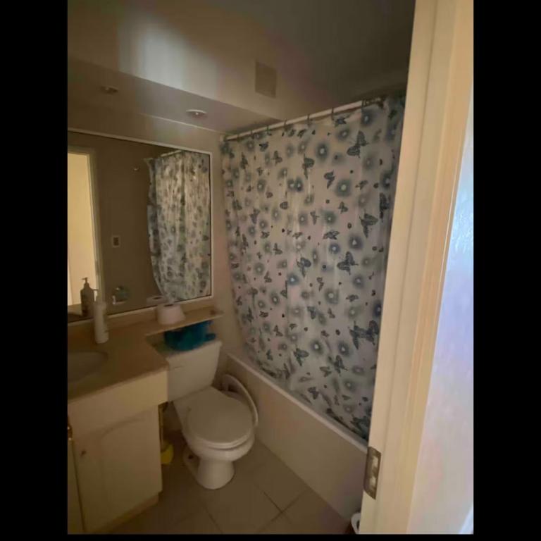 Amplio departamente a metro de la playa Pucon - Three-Bedroom Apartment - 7