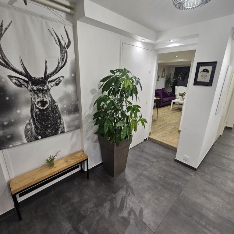 Le 24 route de Chalvet Havre de paix entre stations et lac - Appartement 3 Chambres - 28