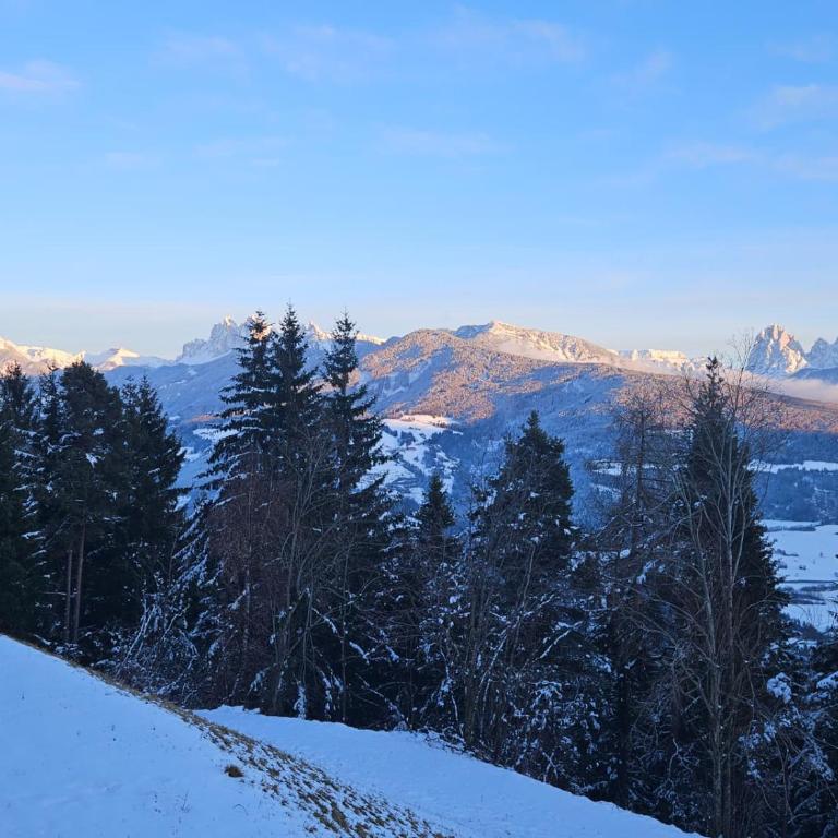 Alone in Chalet with view on Dolomites - Apartment mit 2 Schlafzimmern - 39