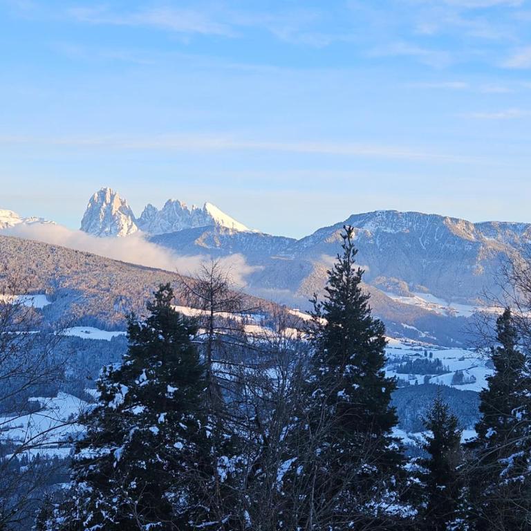 Alone in Chalet with view on Dolomites - Apartment mit 2 Schlafzimmern - 40