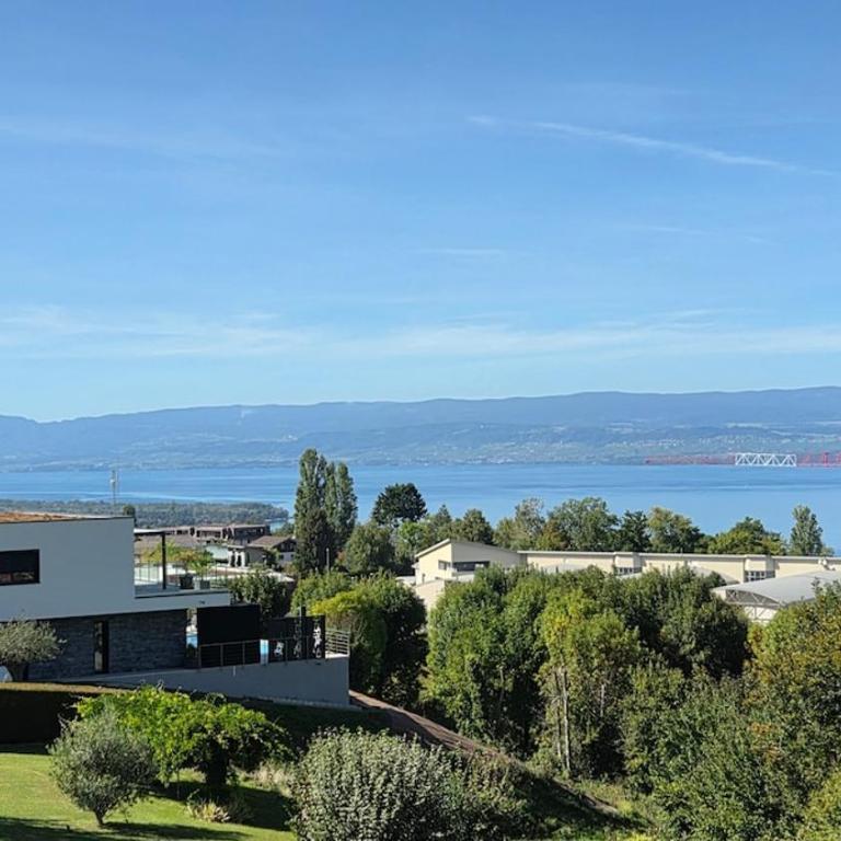Le Léman Vision - appartement vue Lac - Appartamento con 1 Camera da Letto e Vista Lago - 21