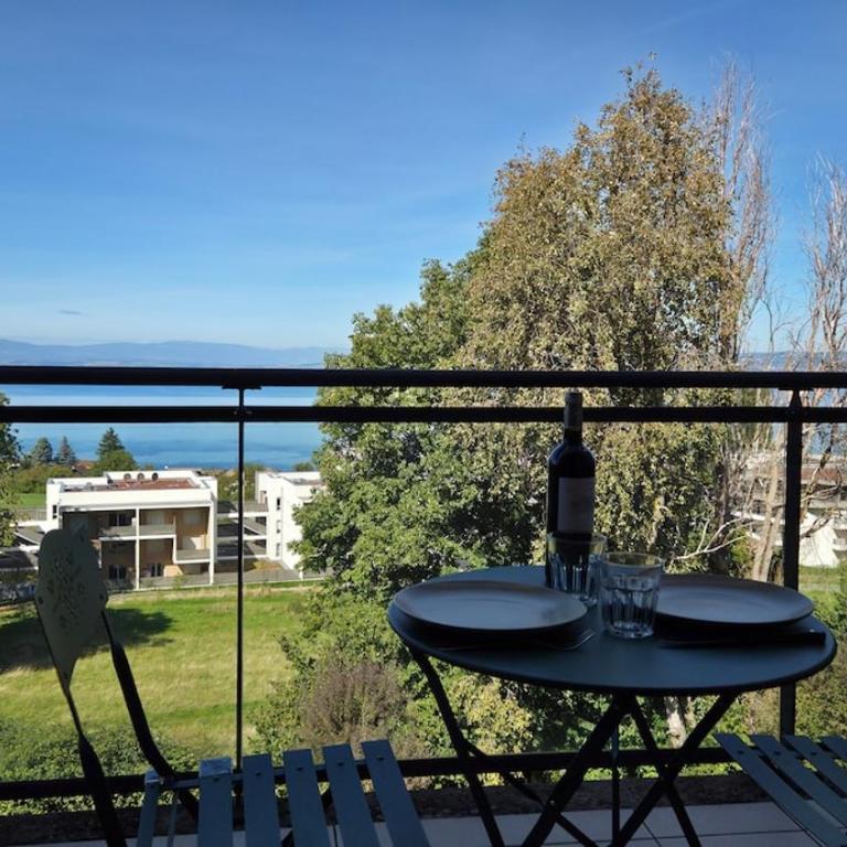 Le Léman Vision - appartement vue Lac - Appartamento con 1 Camera da Letto e Vista Lago - 29