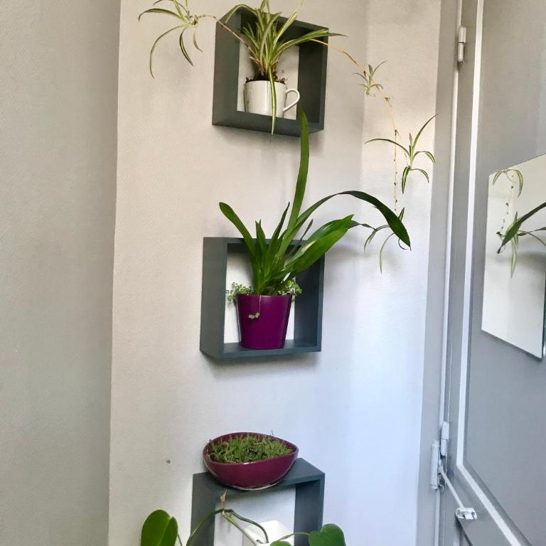 Petite Attique - avec vue sur la tour Eiffel - Appartement 1 Chambre - 14