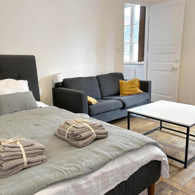 Le 47, Appart calme & cosy hypercentre Rennes - Apartment mit 1 Schlafzimmer - 4
