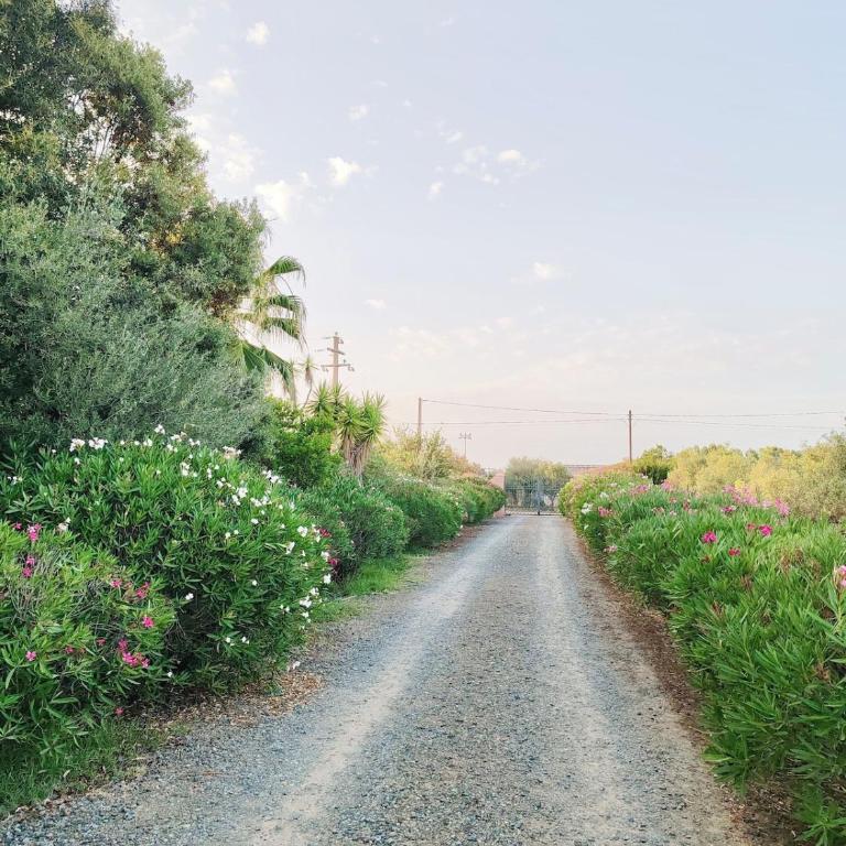 Charming Cottage with Private Garden near Nora & Chia - Villa - 36