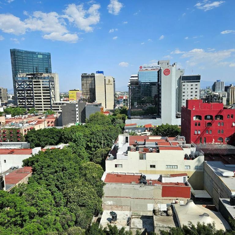 Zona Rosa, Amberes 33 - Studio Apartment - 14