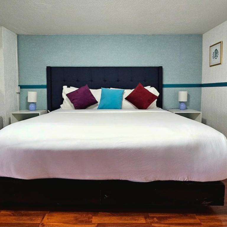 Zona Rosa, Amberes 33 - Studio Apartment - 18