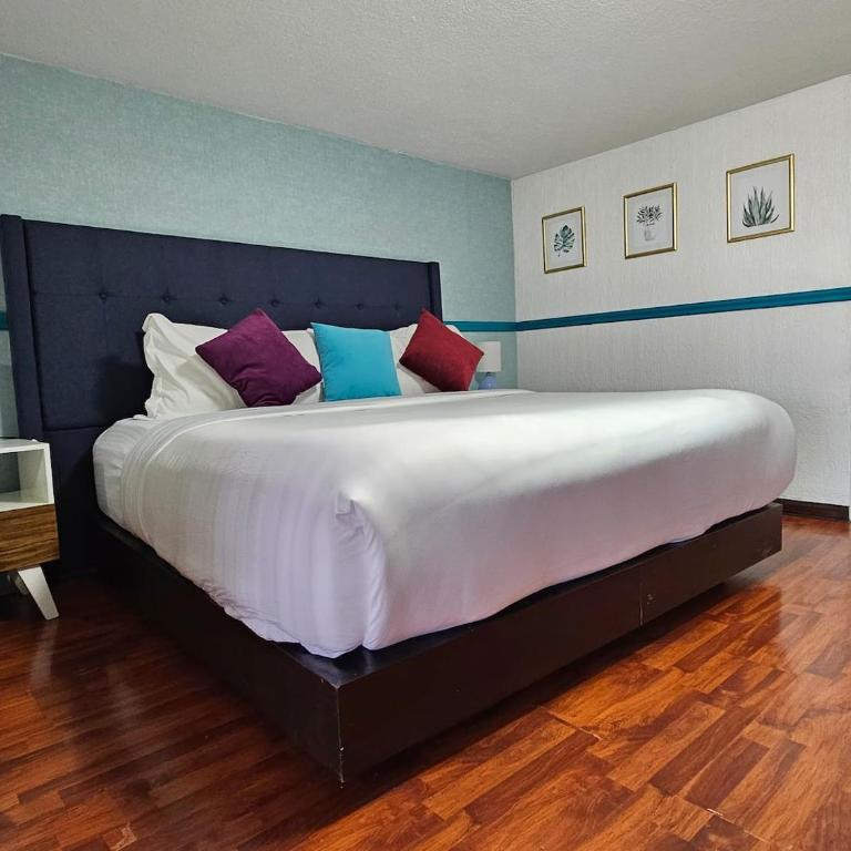Zona Rosa, Amberes 33 - Studio Apartment - 1