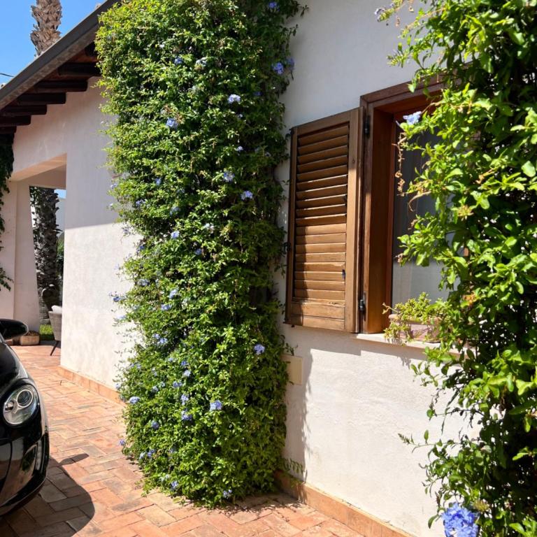 Villa Botanica, piscina privata e relax - Villa con 3 Camere da Letto - 49
