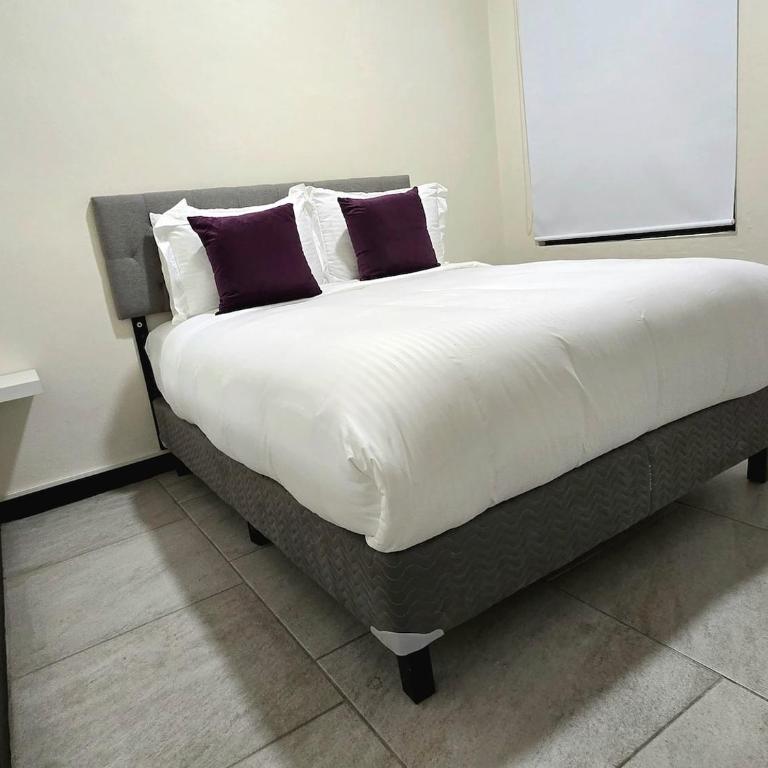 Casa en barrio Jalatlaco - Appartement 3 Chambres Supérieur - 27