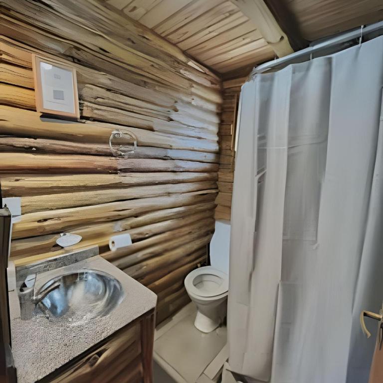 Sueños de Montañas, Manzano Histórico, Tunuyán - Cabaña de 1 dormitorio - 15