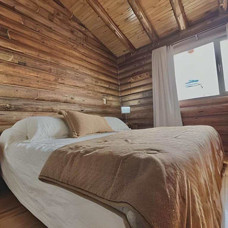 Sueños de Montañas, Manzano Histórico, Tunuyán - Cabaña de 3 dormitorios - 19
