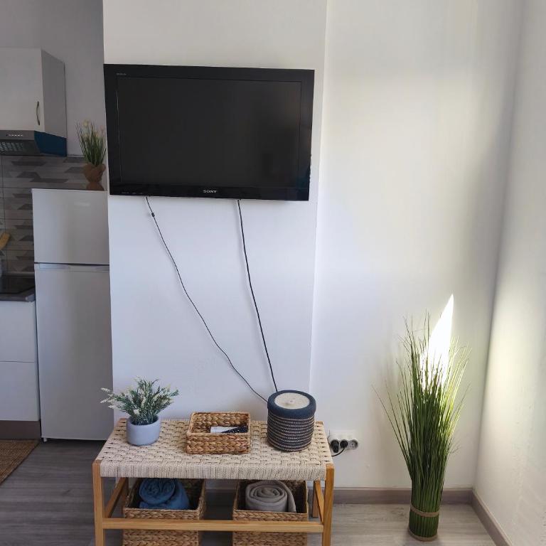 Alma Del Sur Tenerife - Estudio - 5