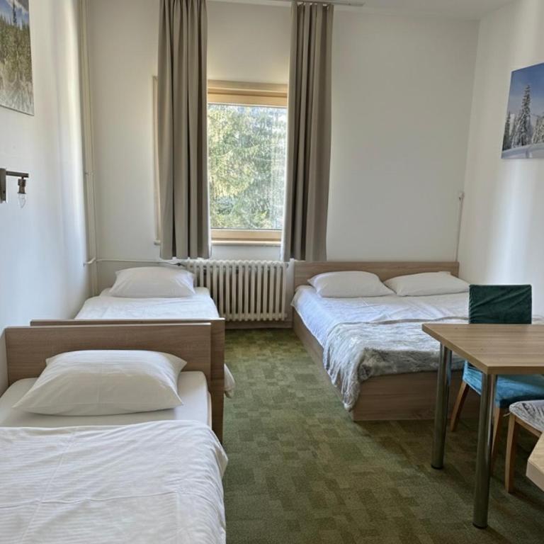 Apartments Konaci Kopaonik - Studio with Mountain View - 2