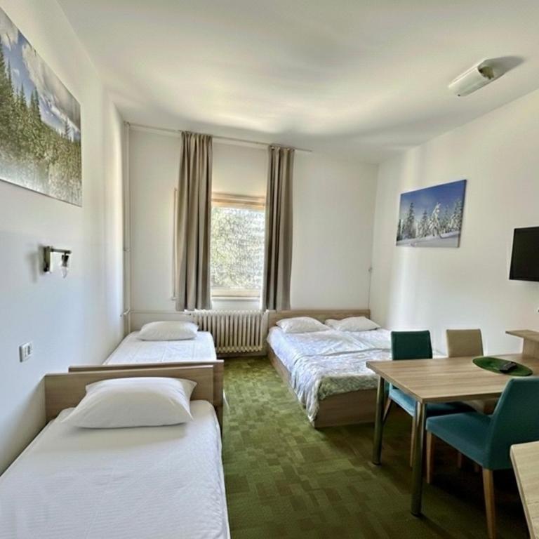Apartments Konaci Kopaonik - Studio with Mountain View - 1