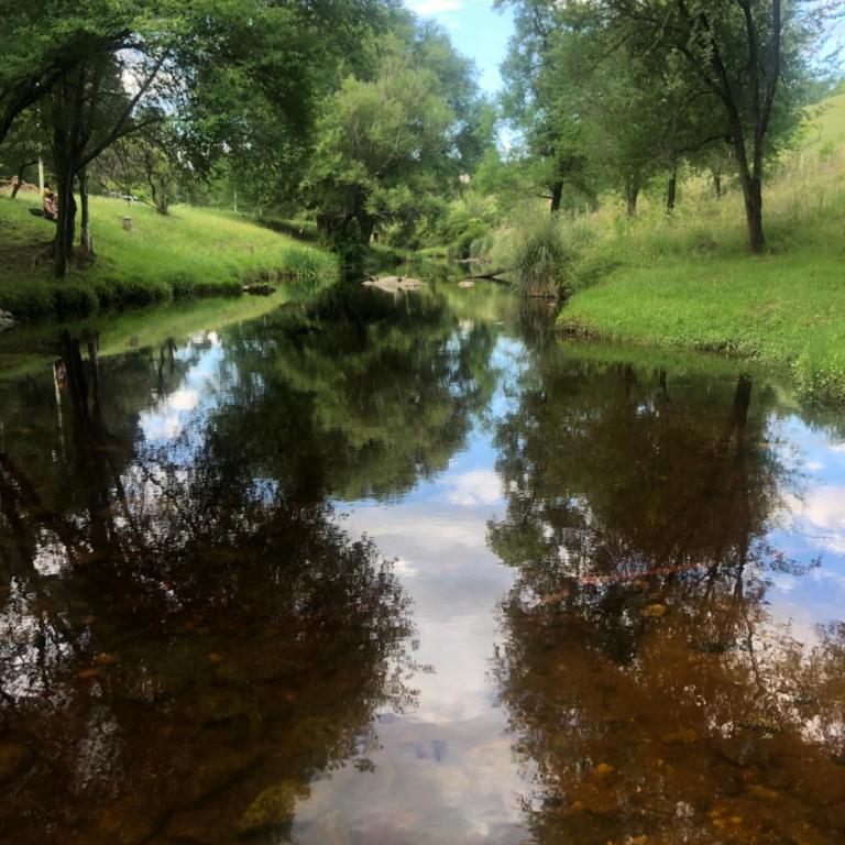Los árboles - Chalet de 2 dormitorios - 20