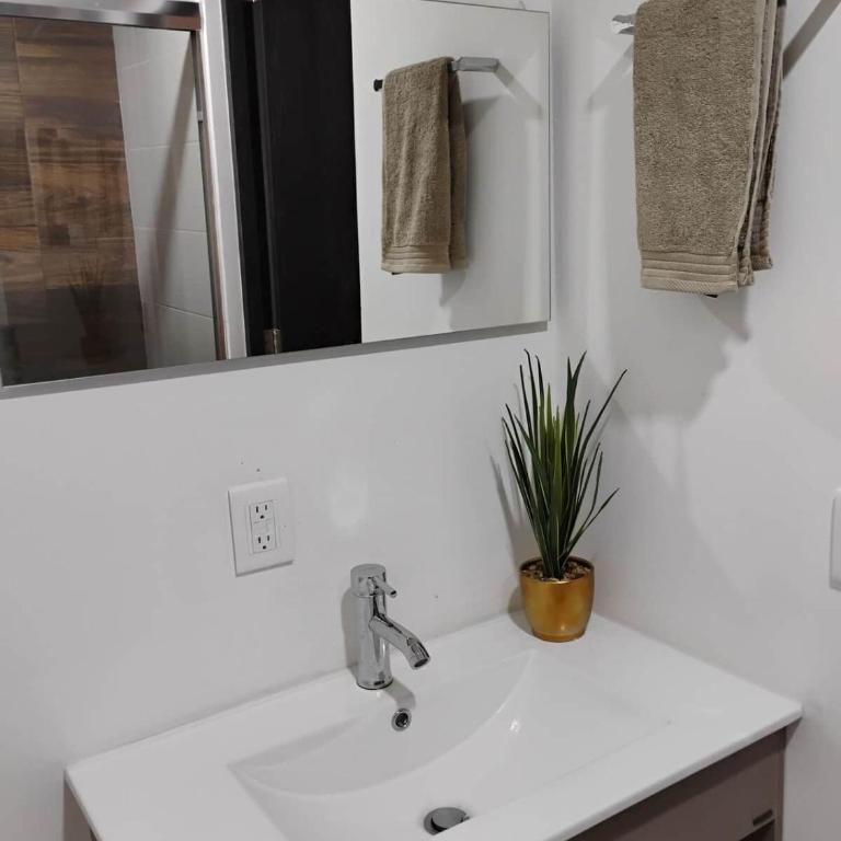 Apartment with balcony overlooking the lagoon, beach and poo - Apartamento - 9