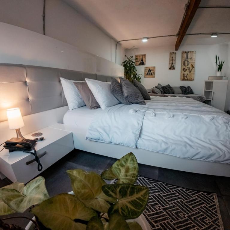 Almaia 17 hotel boutique lodge cerca del aeropuerto - Suite Deluxe con bañera de hidromasaje - 21