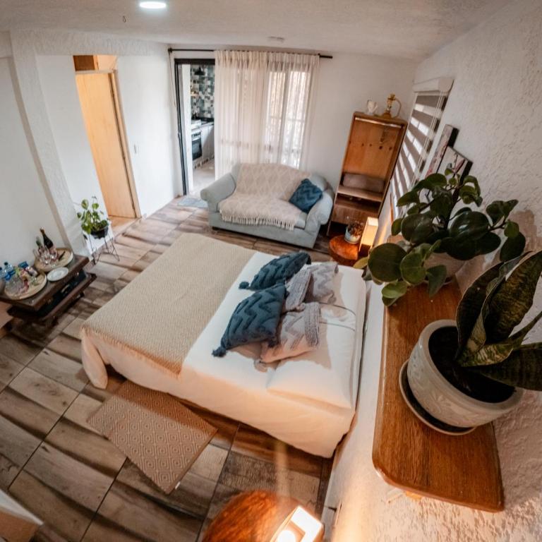 Almaia 17 hotel boutique lodge cerca del aeropuerto - Suite Deluxe con bañera de hidromasaje - 23