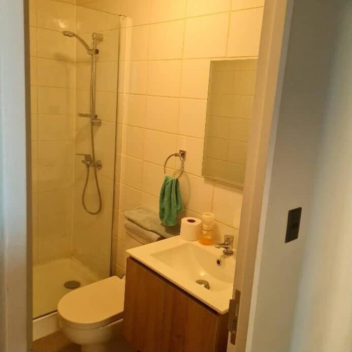 Amplio Departamento equipado en Angol 3D, 2B y parking - Three-Bedroom Apartment - 3