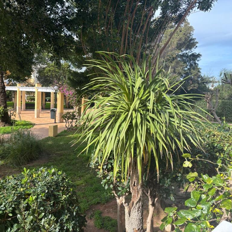Puerta ibiza Bajo - Apartamento de 2 dormitorios - 11