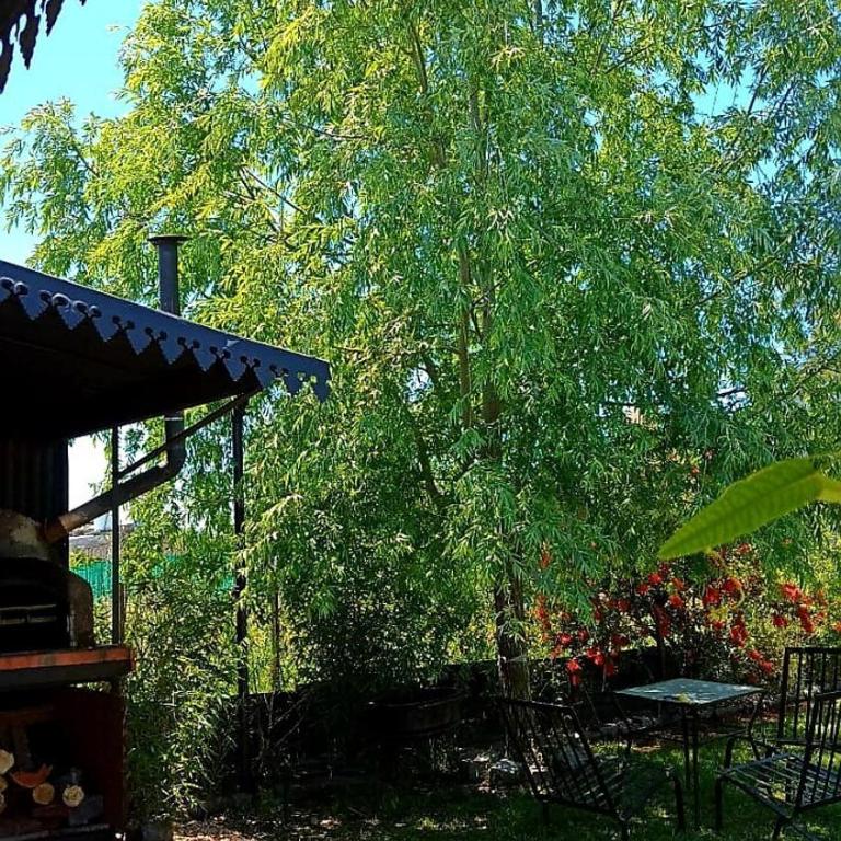 Casa Quinta El Campito - Two-Bedroom House - 20