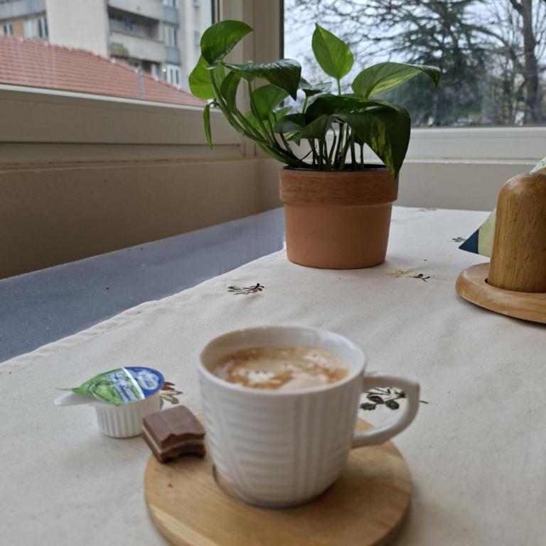 Cherry Magic apartment Sarajevo - Two-Bedroom Apartment with Garden View - 46