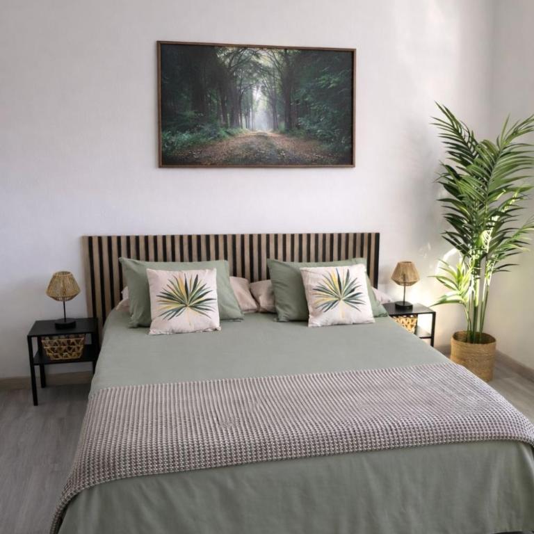 Alma Del Sur Tenerife - Estudio Estándar - 1