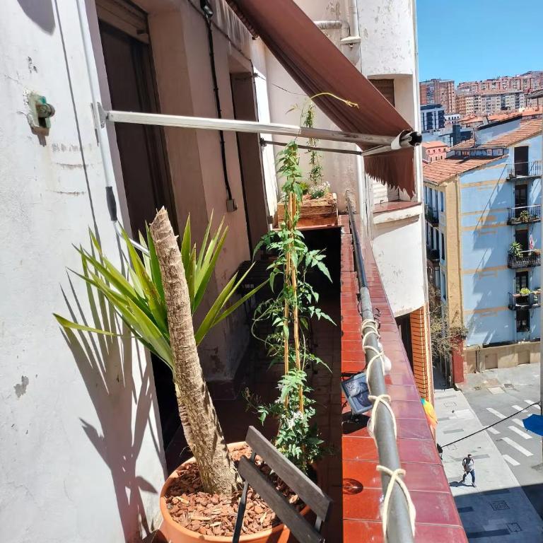 HT MIRIBILLA habitaciones turísticas con baños compartidos sin ascensor - Deluxe Room - 11